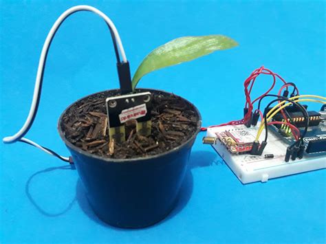 fazendo um medidor de umidade para vaso de plantas|Como medir a umidade de uma planta Arduino e um sensor.